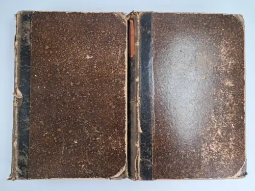 Buch: Ritters Geographisch-Statistisches Lexikon, A. Stark, 1864, Wigand, 2 Bde