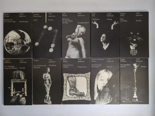 20 verschiedene Bücher Reihe Spektrum Verlag Volk und Welt, Konvolut, Sammlung