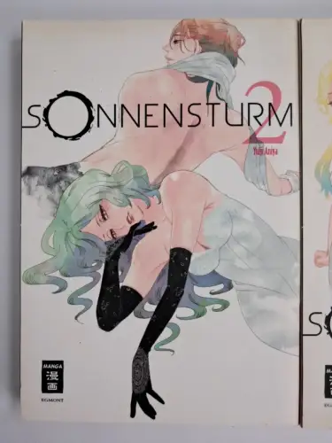 3 Mangas: Sonnensturm 2-4, Yuiji Aniya, Egmont Manga, gebraucht, sehr gut