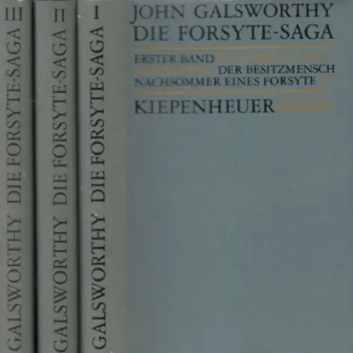 Buch: Die Forsyte-Saga, Galsworthy, John. 3 Bände, 1985, gebraucht, gut