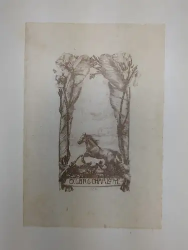 Buch: Die deutsche Plastik des achtzehnten Jahrhunderts. Sauerlandt, 1926, Wolff