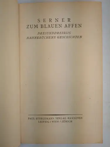 Buch: Zum blauen Affen, Serner, Walter, 1921, Paul Stegemann, Die Silbergäule