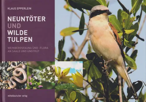 Buch: Neuntöter und wilde Tulpen, Epperlein, Klaus, 2018, mdv, sehr gut