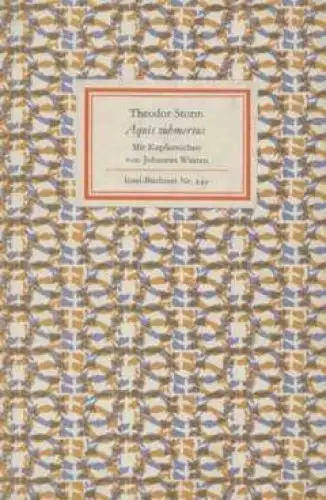 Insel-Bücherei 249, Aquis submersus, Storm, Theodor. 1967, Insel-Verlag, Novelle