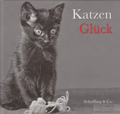 Buch: Katzen Glück, Bachstein, Julia. 2006, Schöfflin & Co. Verlag