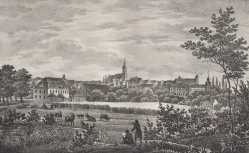Lithografie: Glauchau, 1836, Eduard Pietzsch & Comp., Saxonia, Stadtansicht