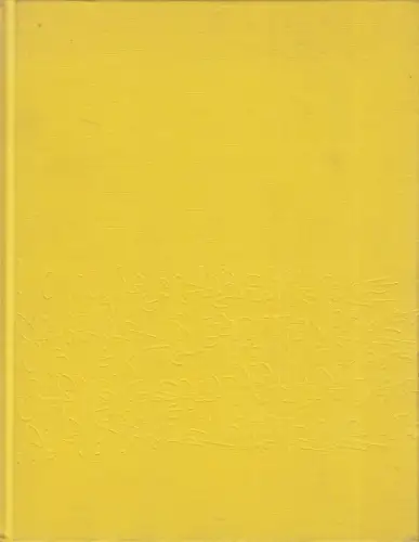 Buch: Objekte von Bernhard Schobinger dargestellt in Bildern von Annelies Strba