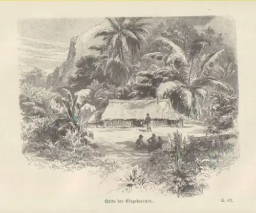 Buch: Im Bismarck-Archipel, Parkinson, Richard. 1887, Verlag F.A. Brockhaus