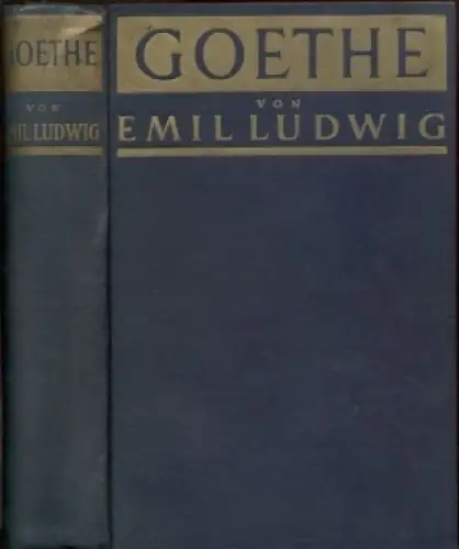Buch: Goethe, Ludwig, Emil. 1931, Paul Zsolnay Verlag, Geschichte eines Menschen