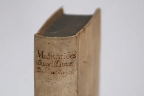 Buch: Meditationes suavissimae animae amore sauciae Dilecti sui... Saint-Pierre