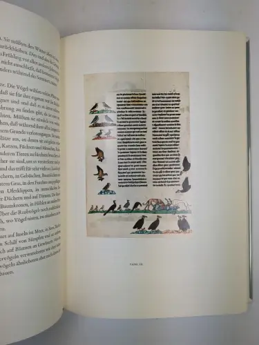 Buch: Von der Kunst mit Vögeln zu jagen, Friedrich II., 3 Bände, 1964, Insel Vlg