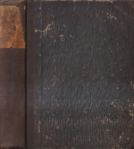 Buch: Torquato Tasso's Befreites Jerusalem, A. Hofmann & Comp., 1854, 2 in 1 Bd.