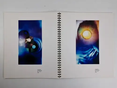 Buch: Ulf Saupe - Elektrizität, Original-Fotogramme auf Ilfochrome, signiert