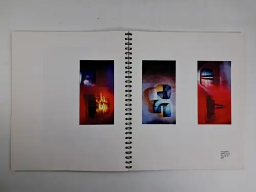 Buch: Ulf Saupe - Elektrizität, Original-Fotogramme auf Ilfochrome, signiert