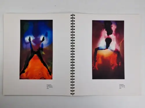 Buch: Ulf Saupe - Elektrizität, Original-Fotogramme auf Ilfochrome, signiert