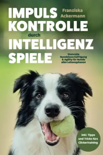 Buch: Impulskontrolle durch Intelligenzspiele, Ackermann, Franziska, 2022, BRM