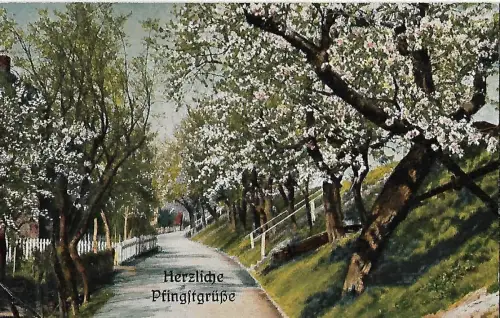 AK Herzliche Pfingstgrüße. ca. 1911, Postkarte. Pfingsten, gebraucht, gut
