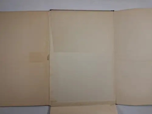 Buch: Denkschrift zu dem technischen Entwurf einer Main-Donau-Wasserstraße, 1913