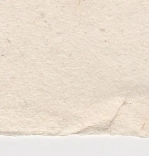 Radierung: Adhba Das Kamel, Lovis Corinth, Grafik, um 1919, signiert, Original