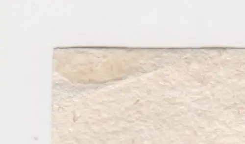 Radierung: Adhba Das Kamel, Lovis Corinth, Grafik, um 1919, signiert, Original