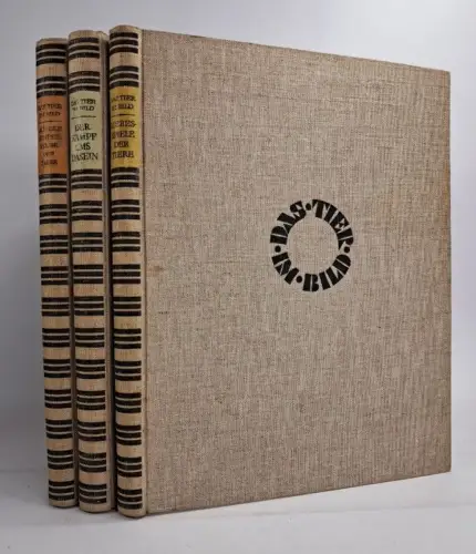 Buch: Das Tier im Bild 1-3, Adolf Heilborn, 1930, Brehm Verlag, 2 Bände