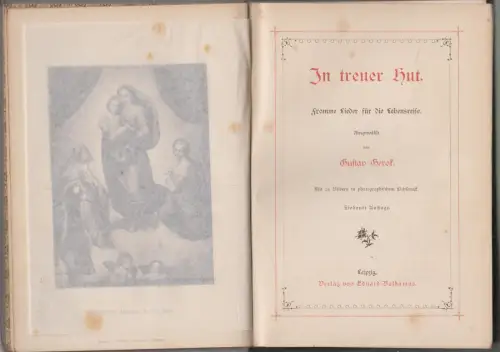 Buch: In treuer Hut, Fromme Lieder für die Lebensreise, Gustav Gerok, Baldamus