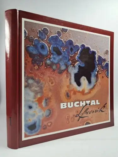 Buch: Buchtal-Chronik Band I - Vorgeschichte und die Zeit von der Gründung ...