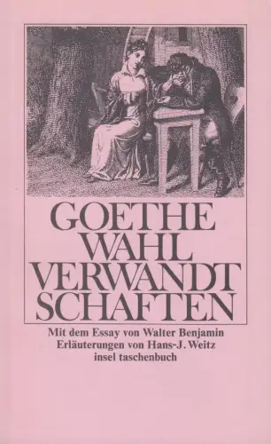 Buch: Die Wahlverwandtschaften, Goethe, Johann Wolfgang. Insel-taschenbuch, it