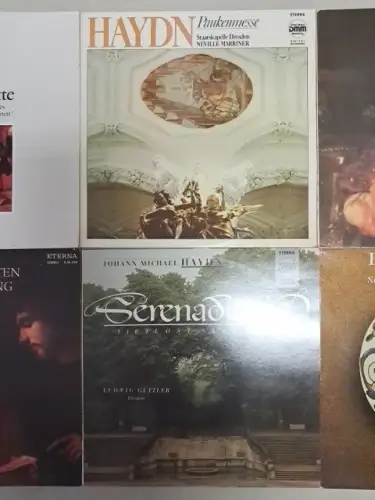 10 Schallplatten Joseph Haydn, 12" LP, Vinyl, Bundle, Sammlung, Klassik