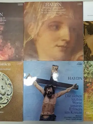 10 Schallplatten Joseph Haydn, 12" LP, Vinyl, Bundle, Sammlung, Klassik