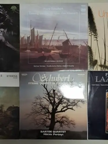 10 Schallplatten Franz Schubert, 12" LP, Vinyl, Bundle, Sammlung, Klassik
