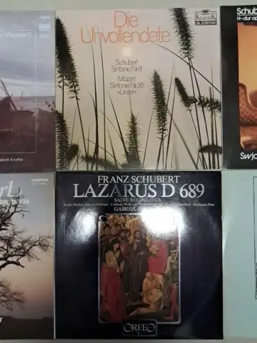 10 Schallplatten Franz Schubert, 12" LP, Vinyl, Bundle, Sammlung, Klassik