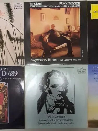 10 Schallplatten Franz Schubert, 12" LP, Vinyl, Bundle, Sammlung, Klassik