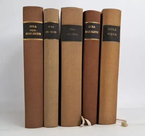 5 Bücher Emile Zola. Die Rougon-Macquart, Rütten & Loening, Erde, Beute, Nana...