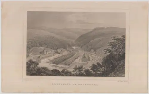 Grafik: Alexisbad im Selkethal, Joh Poppel, L. Rohbock, 1850, Stahlstich, Lange