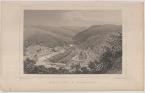 Grafik: Alexisbad im Selkethal, Joh Poppel, L. Rohbock, 1850, Stahlstich, 346795