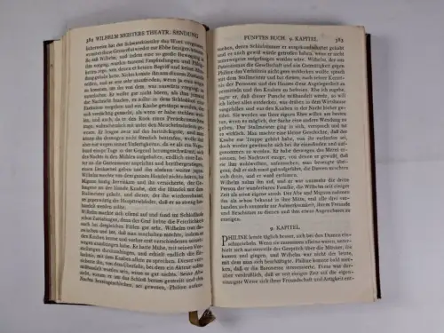 Buch: Johann Wolfgang von Goethe - Sämtliche Werke in 17 Bänden, Insel Verlag