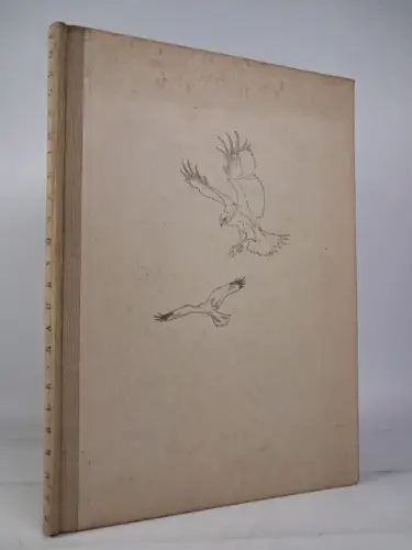 Buch: Raubvögel im Fluge, Fritz Bäuerle, 1951, Neumann Verlag, gebraucht, gut