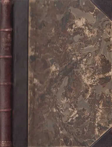 Buch: Himmelsvolk, Waldemar Bonsels. 1921, Schuster & Loeffler, gebraucht, gut