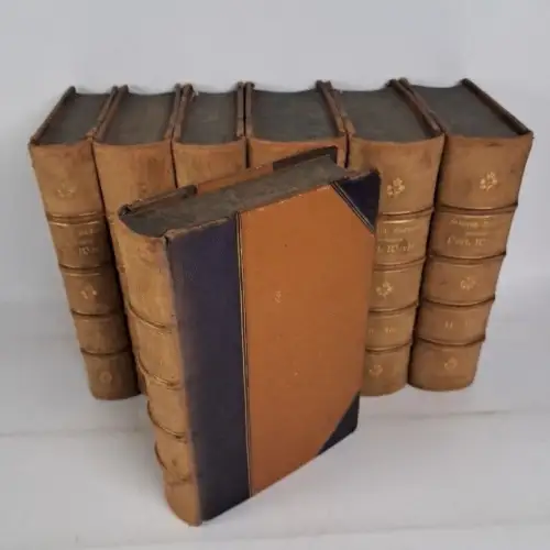 Friedrich Rückert -Gesammelte poetische Werke, 1882, Sauerländer, 12 in 7 Bänden