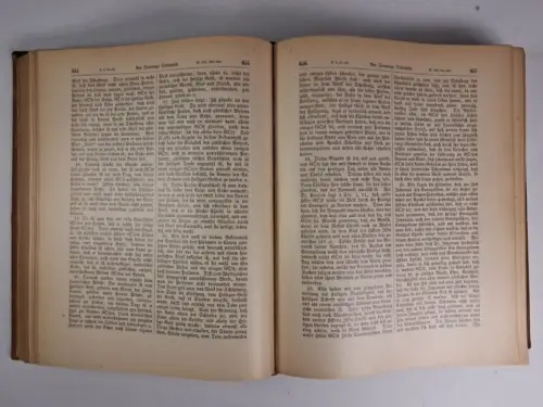 Buch: Dr. Martin Luthers Kirchen-Postille, J. G. Walch, 1883, Concordia Verlag