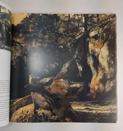 Buch: Historia artificial - El cor i les tenebres, Joan Fontcuberta, 1992
