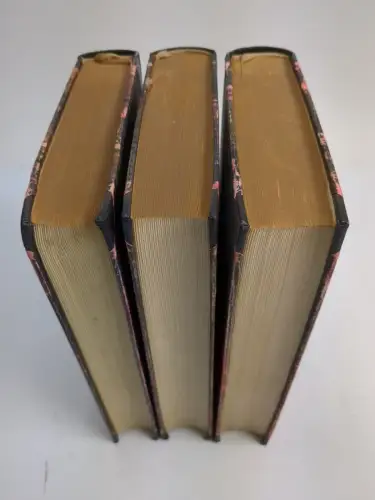 Buch: Die Ahnen, Gustav Freytag, 6 Teile in 3 Bänden, Wegweiser Verlag