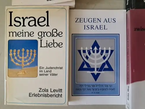 12 Bände Israel, Jerusalem, Judentum, Fritz May, Dave Hunter, Roger Liebi u.a.