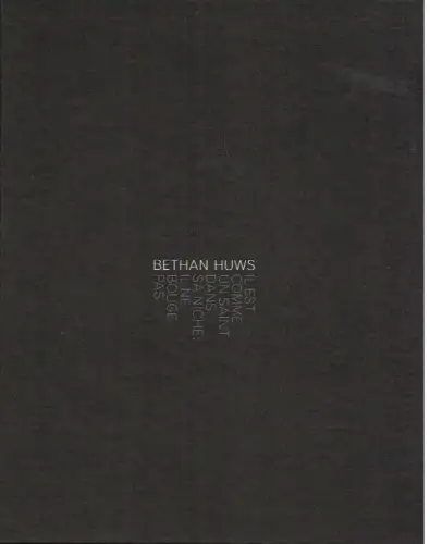 Buch: Bethan Huws - Il est comme un saint dans sa niche : il ne bouge pas, Beyn