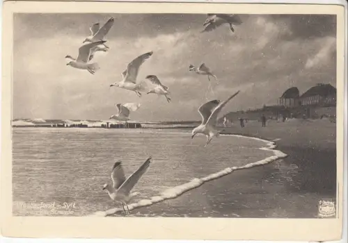 AK Westerland-Sylt. Möven am Strande, Edmund Kummer, Postkarte, ungelaufen