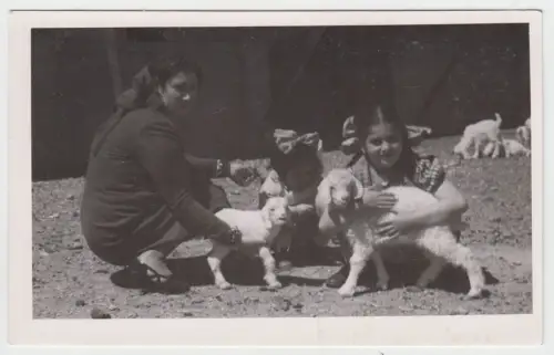 AK Frau mit 2 Mädchen und Ziegen, Postkarte, Foto, ungelaufen, gebraucht, gut