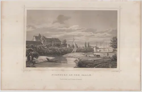 Grafik: Nienburg an der Saale, F. Foltz, J. Pozzi, um 1850, Stahlstich. G. Lange