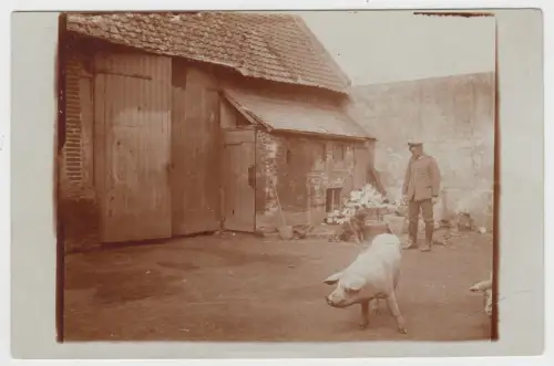 AK Mann in Uniform vor Scheune mit Schäferhund und Schweinen, 1916, Postkarte