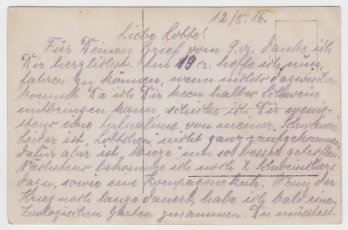 AK Mann in Uniform vor Scheune mit Schäferhund und Schweinen, 1916, Postkarte